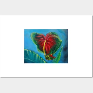 Red Anthurium Posters and Art